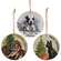 Christmas Wishes Vintage Dog Ornament, 3 Asstd.