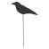 Wooden Crow Planter Stake, 4" 38057