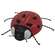 Distressed Wooden Lady Bug with Wire Legs;