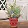 Red Nordic Snowflake Metal Bucket 65351;