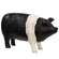 Black & White Carved Look Resin Pig #65357