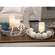 Distressed White Chicken Wire Round Trays, 2/Set 18025ABW;