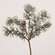 Iced Weeping Pine Pick, 14.5" 18424;