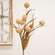 Fall Grass & Billy Ball Spray, Natural 18434;