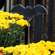 Wooden Bat Planter Stake, 20.75" 38026;