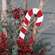 Medium Candy Cane Planter Stake 38083