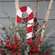 Small Candy Cane Planter Stake 38084