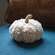 Ivory Sherpa Pumpkin w/Jute Stem, Small CS38995;