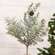 Silver Hemlock Pick, 14" SR2224160;