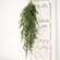 Lady Ruscus & Berries Hanging Bush, 36" SR2333299;