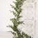 Lady Ruscus & Berries Garland, 6ft SR2333304;