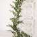 Lady Ruscus & Berries Garland, 6ft SR2333304