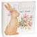 Bunny Trail Ahead Square Box Sign