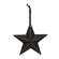 Black Hanging Star - 5.5"