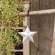 White Hanging Star - 3.75" #46561
