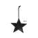 White Hanging Star - 3.75" #46561