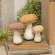 Chenille Stuffed Mushroom Sitters, 3-Piece Set #CS38913
