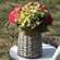 Gray Willow Water Pitcher Planter Basket, Small HAC2427