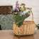 Hydrangea & Pine Cone Bouquet, 15" SR2317256