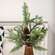 Glittering Millwood Pine Spray, 16" ;