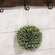 Snowy Pine Kissing Ball Ornament, 7" SR2319280;