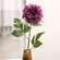 Plum Dahlia Stem, 24" SR2320457P