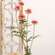 Mauve Marigold Spray, 29.75" SR2320463M;