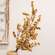 Canella Berries Spray, 25", Teastain SR2320654T;