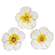 Wooden Gardenia Bloom Sitter - 3 Asstd.