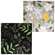 Spring Flower & Vine Square Plate - 2 Asstd.
