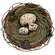 Speckled Egg Trio In Nest SHN5484;