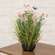Potted Pink Cosmos w/ Onion Grass & Butterflies 18445;