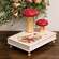 Let Me Be Wild & Free Wooden Mushroom Book Riser 38232;