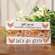 Let's Go Girls Floral Chicken Mini Stick, 3 Asstd. 38441;