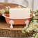 Coral Iron Bathtub Soap Dish 70202;