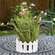 Distressed White Wooden Picket Jar Candle Holder - 9.5" HAC2460;