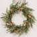 Mossy Sprouting Mushroom Wreath, 24" SA112516;