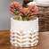 Gold Distressed White Wheat Embossed Cement Planter;