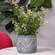 Distressed Blue Aztec Embossed Cement Planter;