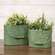 Dragonfly Embossed Distressed Green Metal Oval Buckets - 2/Set 70185;