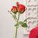 Blooming Red Roses Pick, 17" HJ092505;