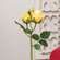 Blooming Soft Yellow Roses Pick, 17" HJ092507;