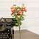 Coral Ranunculus Bush, 18" HJ092515;