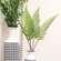 Wispy Fern Bundle, 21" JH102502;
