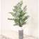 Maidenhair Fern Bush, 27" JH102504;