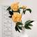 Peach Peony Spray, 30" QE15252;
