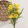 Sunny Chrysanthemum & Daisy Bush, 20" QE152536;