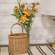 Dawn Chrysanthemum & Daisy Bush, 20" QE152537;