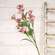 Pink Petunia Spray, 32" QE15255;