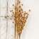 Fall Blossoms Spray, Rust, 24" SR2320665RU;
